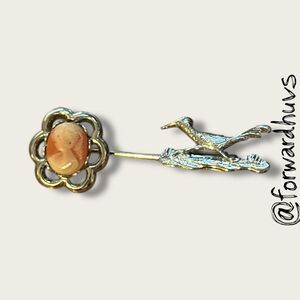 ☑️ Roadrunner & Cameo Stick Pin – Silver Tone
